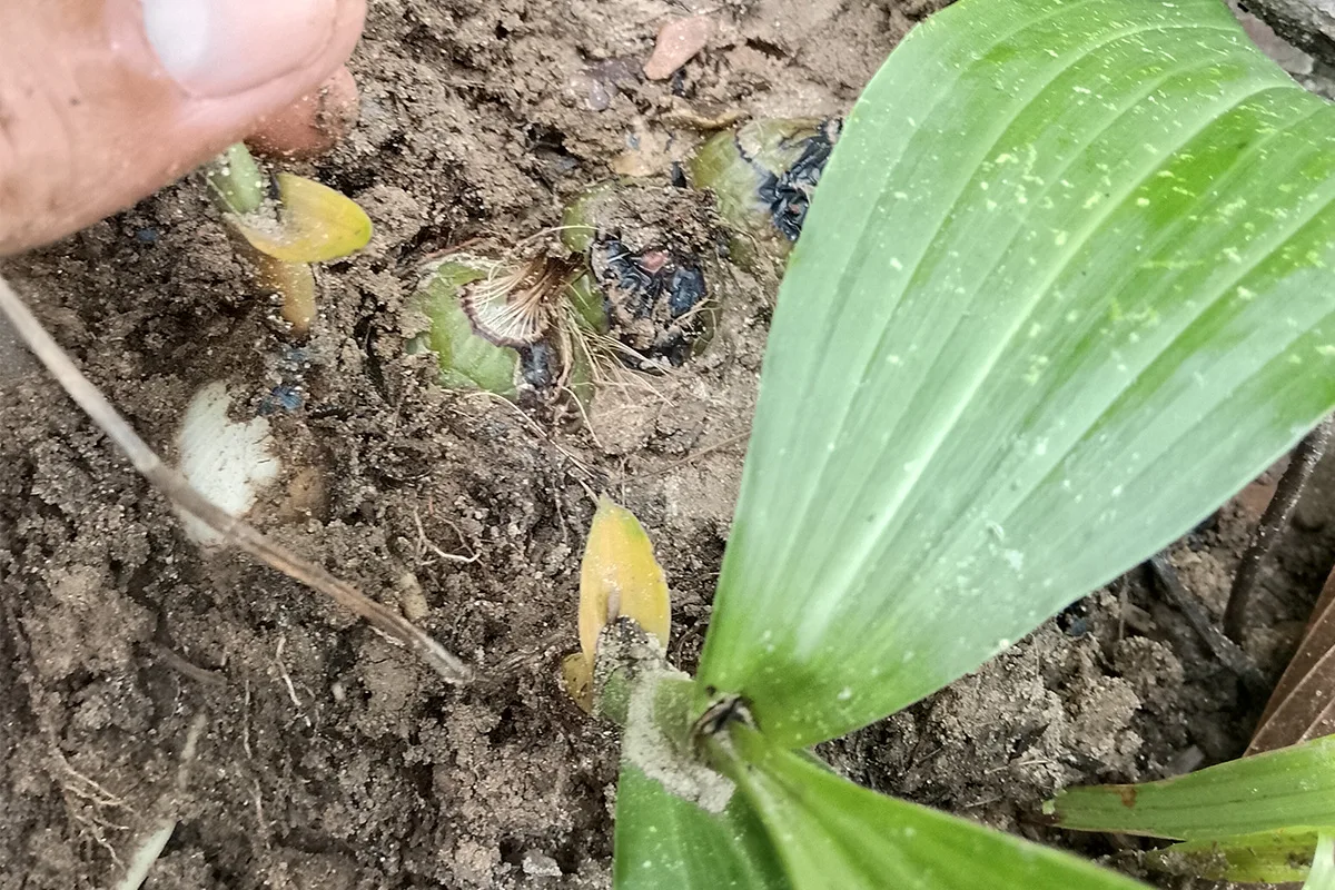 Activity image 2