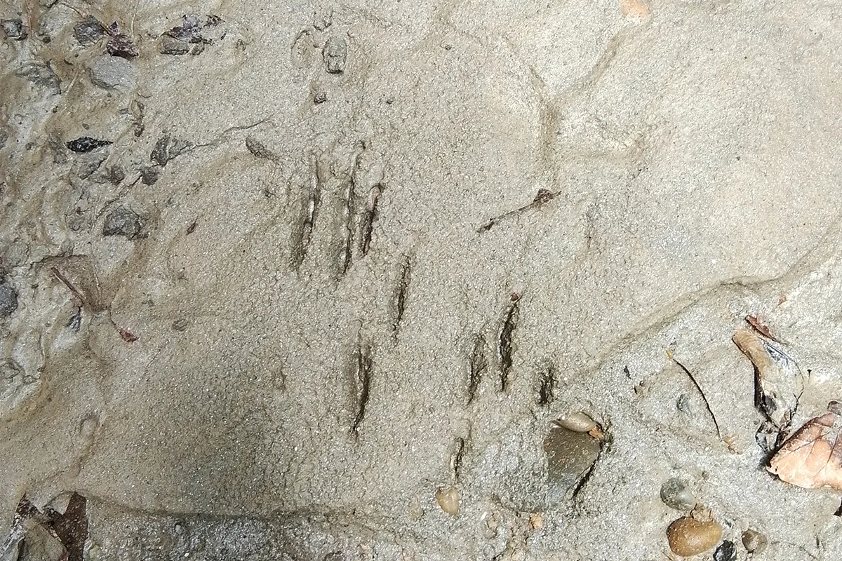 Activity image 5
