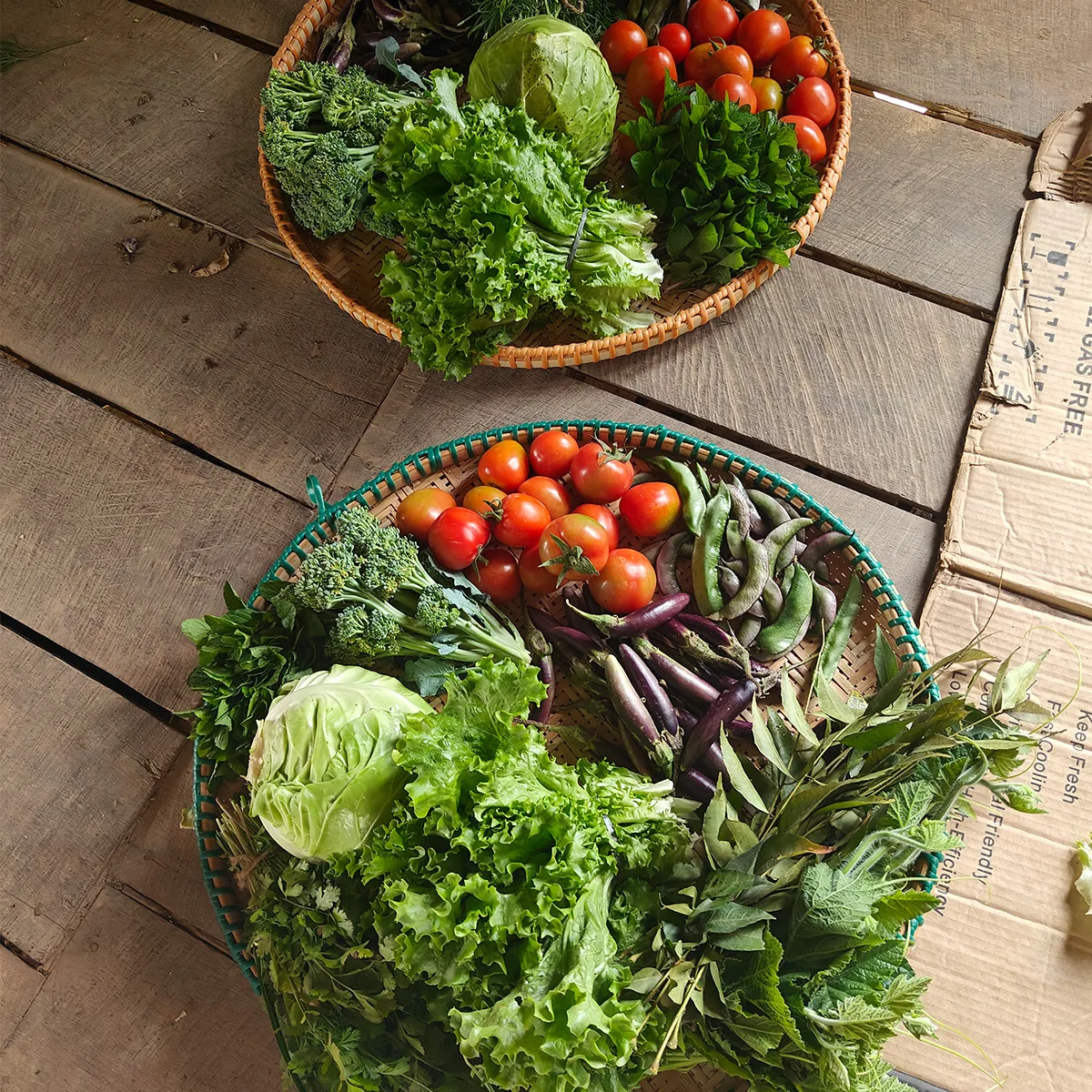 Inspiring Sustainable Living